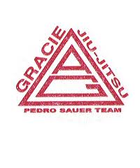 Visit Pedro Sauer site